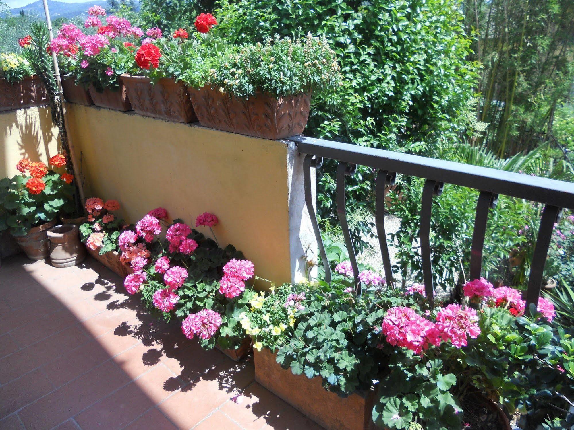 Agriturismo Le Macine Florence Exterior photo